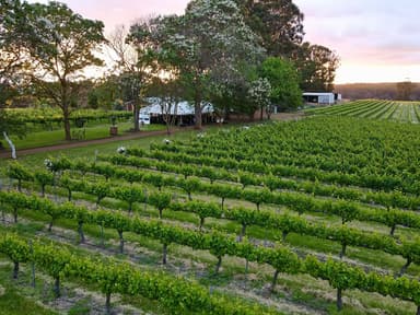 carousel thumbnail 0