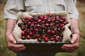 carousel thumbnail 2