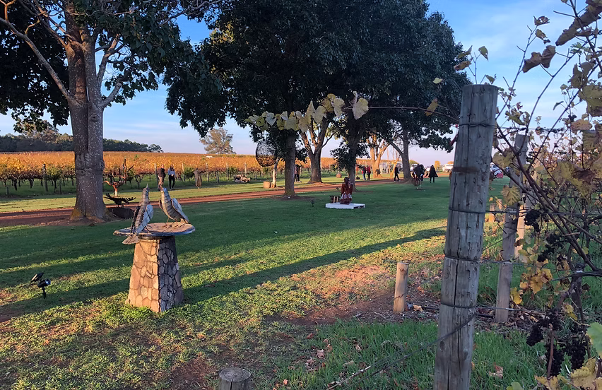 carousel thumbnail 1