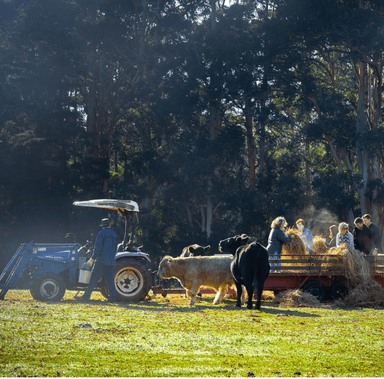 carousel thumbnail 2