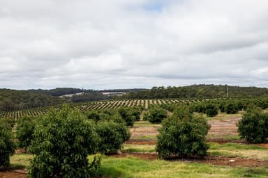 carousel thumbnail 2